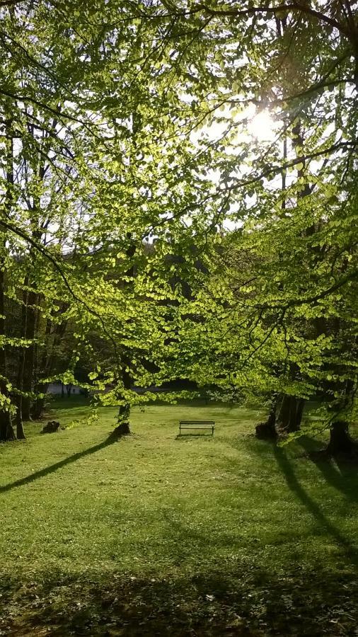 Apartma Obrh Smarjeske Toplice Buitenkant foto
